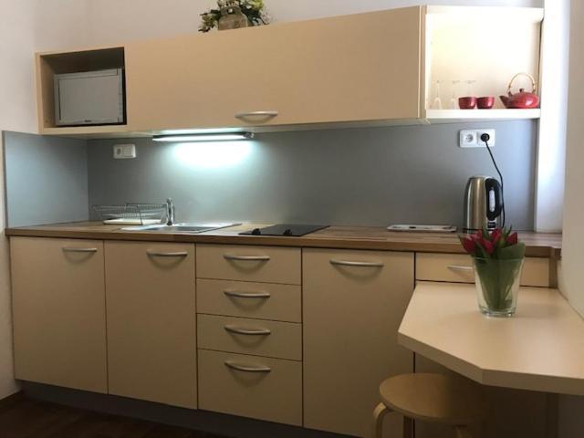 Apartman Innova 兹林 外观 照片